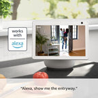 Blink Mini 2 (Newest Model) — Home Security & Pet Camera(s) with HD video, color night view, motion detection, two-way audio, and built-in spotlight — 2 cameras (Black)