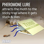 TERRO T2900 (Pack of 2) Pantry Moth Traps - Traps grain moths, flour moths, meal moths, and seed moths, (Packaging May Vary)