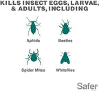 Safer Brand 5182-6 Neem Oil Concentrate Insecticide, Miticide, Fungicide for Plants - Kills Insects and Mites and Controls Fungal Disease - OMRI Listed for Organic Use