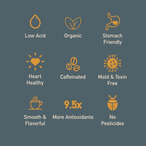 Healthy Bean Coffee Thrive Morning Blend - Organic Ground Coffee Medium Roast - Low Acid for Sensitive Stomachs, Smooth and Rich Flavor, Clean, Low Acidic - Medium Roast, 11oz