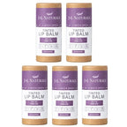 J&L Naturals Tinted Lip Balm | Vegan & Cruelty Free Lip Stain | Zero Waste Makeup | Plastic-Free, Hydrating & Moisturizing Lip Tint | Made in US (Bundle (5-Pack), Plum Dream)