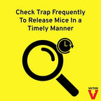 Victor M308 TIN CAT Clear Top Mouse Rat Trap, Pack of 12, Silver