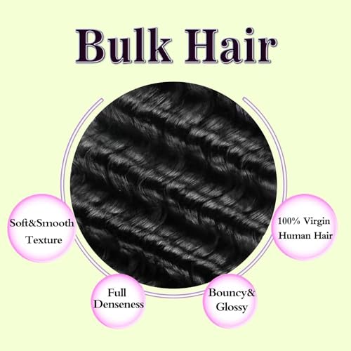 24 Inch Deep Wave Human Braiding Hair for Boho Braids Curly Human Hair Braiding Hair Wet and Wavy Unprocessed Virgin Boho Hair for Braiding Natural Color 2 Bundles/Pack (Total 100G)