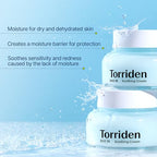Torriden DIVE IN Hyaluronic Acid Soothing Cream 100ml (3.38 fl. oz) | Revitalizing Facial Moisturizer for Sensitive and Dry Skin | Hyaluronic Acid, Panthenol, Allantoin