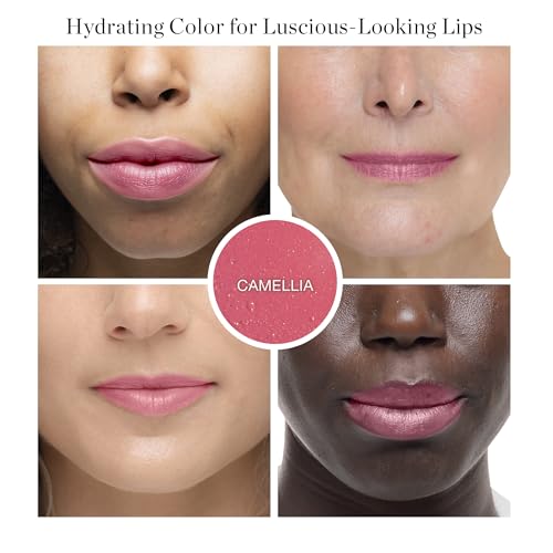 Ogee Tinted Sculpted Lip Oil - Lip Stain Made with 100% Organic Coconut Oil, Jojoba Oil, and Vitamin E - Best as Lip Balm, Lip Color or Lip Treatment - CAMELLIA