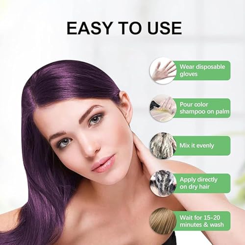 Polar Hair Dye Shampoo, Polar Hair Care Hair Dye Shampoo, Haircare Instant Dye Shampoo, Natural Hair Color Shampoo for Gray Hair Coverage, Suitable for Women & Men (Black)