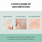 SKIN1004 Madagascar Centella Tea-Trica BHA Foam 4.22 fl.oz, 125ml, Professional Cleansing Care and Relief to Acne-Prone Skin