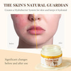 Pulchra Beef Tallow and Honey Balm for Skin: Premium Tallow Honey Skin Balm - Grass-Fed Beef Tallow & Raw Wild Honey Blend - All-Natural Moisturizer for Face & Body, Tallow Balm for Skin Hydration