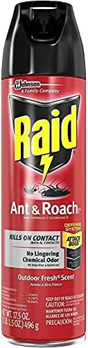 Raid Ant & Roach Spray Outdoor Fresh 17.50 oz (Pack of 3)
