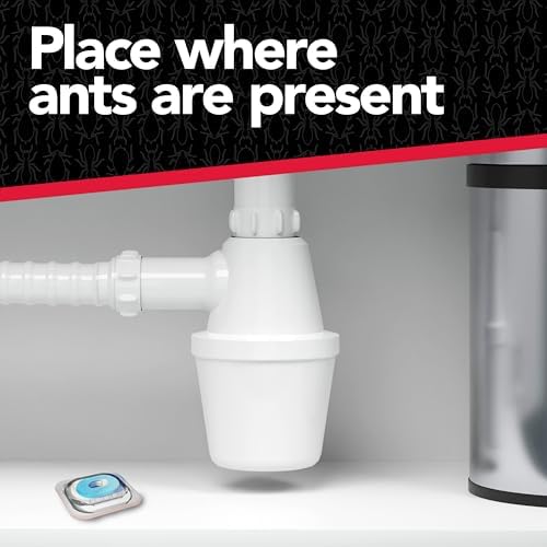 Raid Max Liquid Ant Bat; Kills Ants Where They Breed, For Indoor and Outdoor Use; 8 Bait Stations