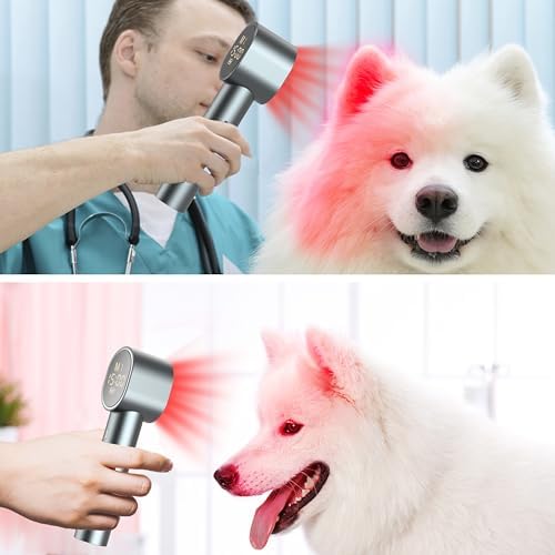 Red Light Therapy with Timing and 4 Modes, High Power 660/850nm Handheld Near-Infrared ＆ Red Light Therapy for Face Body, Portable Light Therapy Wand for Pain Relief of Muscles Joints Knee, 20 LEDs