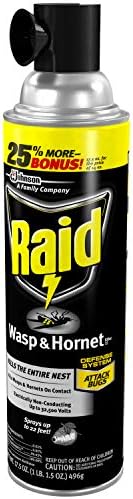 Raid Wasp and Hornet Killer, 17.5 OZ (Pack of 3)