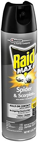 Raid Max Max Spider & Scorpion Killer - 12 oz - 2 pk