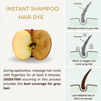 Light Brown Hair Dye Shampoo 3 IN 1- Hair Color Shampoo Grey Coverage in Minutes Ammonia Free Instant Coloring Gift for Mom Dad (Light Brown Pack 1)