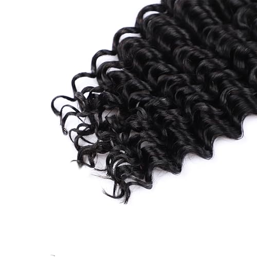 Human Braiding Hair Deep Wave Bulk Human Hair Braiding Hair Boho Hair For Braiding No Weft 100g (1Pack-2Bundles) 100% Human Hair Micro Braiding Hair For Bohe Braids (16inch, Natural Black)