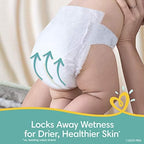 Baby Diapers Newborn/Size 1 (8-14 lb), 198 Count and Baby Laundry Detergent Pack of 2 - Pampers Swaddlers, One Month Supply & Dreft Stage 1 Newborn Hypoallergenic 50 Fl Oz (Packaging May Vary)