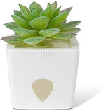 JT Eaton ZendoZones 1818-TT Fruit Fly Trap with Zendo Lure, Tranquil Tabitha with Plastic, White Base, Refillable and Reusable, Long-Lasting