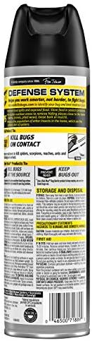 Raid Max Max Spider & Scorpion Killer - 12 oz - 2 pk