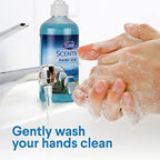 Clorox Scentiva Liquid Hand Soap | Pacific Breeze & Coconut Liquid Hand Wash with Aloe Vera & Vitamin B5 | Bleach-Free Scented Hand Soap for Kitchen or Bathroom - 14 Oz (Pack of 12)