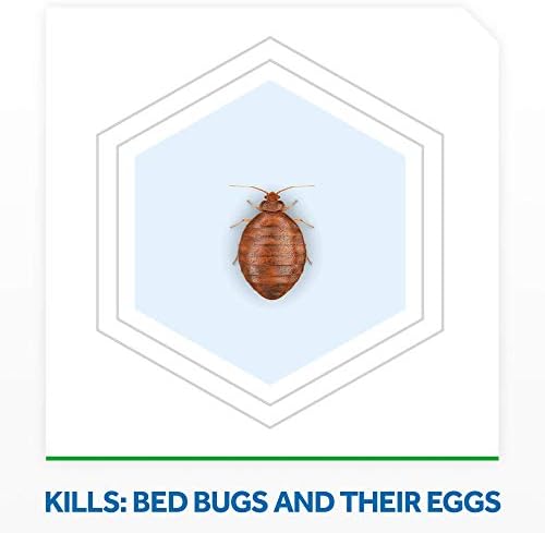 Raid Max Bed Bug Extended Protection, Kills Bed Bugs for 8 weeks on Laminated Woods and Surfaces, 22 Oz