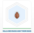 Raid Max Bed Bug Extended Protection, Kills Bed Bugs for 8 weeks on Laminated Woods and Surfaces, 22 Oz