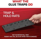 Tomcat Rat Trap with Immediate Grip Glue for Rats, Mice, Snakes, Cockroaches, Spiders, and Scorpions, Ready-To-Use, 2 Traps