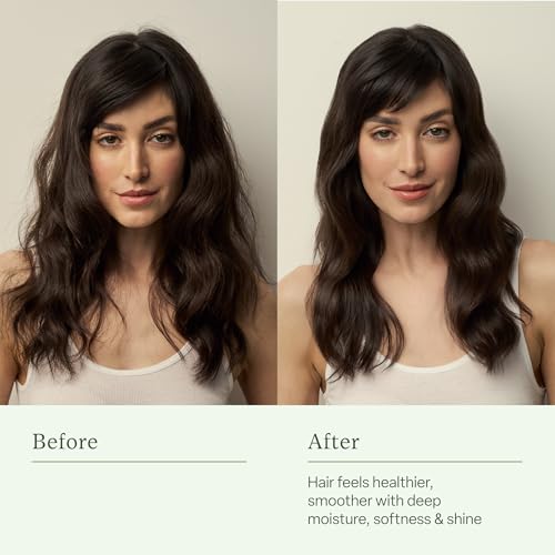 Divi Hydrating Shampoo and Conditioner Set, 2 x 12 oz, Moisturizing for Thicker Hair