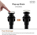 KENES Single Handle Bathroom Sink Faucet, Brushed Nickel Vanity Faucet for Bathroom Sink, with Pop Up Drain Stopper & Water Supply Lines LJ-9031
