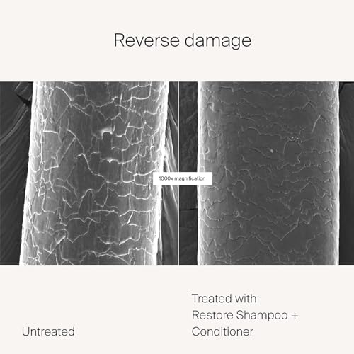 Living proof Restore Shampoo