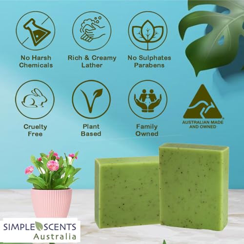 Eucalyptus Scented Natural Soap Bars (6 Bars), 3.5oz Moisturizing French Triple Milled Soap Bars Enriched with Shea Butter - Pure Plant Oil Bath & Body Soap Bars