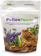 The Bio Dude Pollen Power 4 oz - Premium Bee Pollen Supplement - Great for Bearded Dragons, Tortoises and other herbivores/omnivores