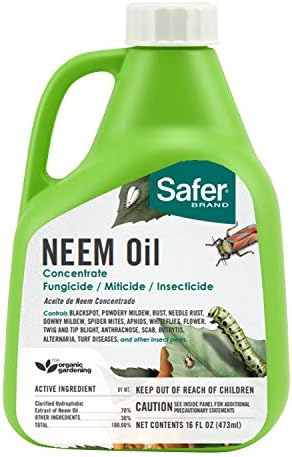 Safer Brand 5182-6 Neem Oil Concentrate Insecticide, Miticide, Fungicide for Plants - Kills Insects and Mites and Controls Fungal Disease - OMRI Listed for Organic Use