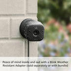 Blink Mini 2 (Newest Model) — Home Security & Pet Camera(s) with HD video, color night view, motion detection, two-way audio, and built-in spotlight — 2 cameras (Black)