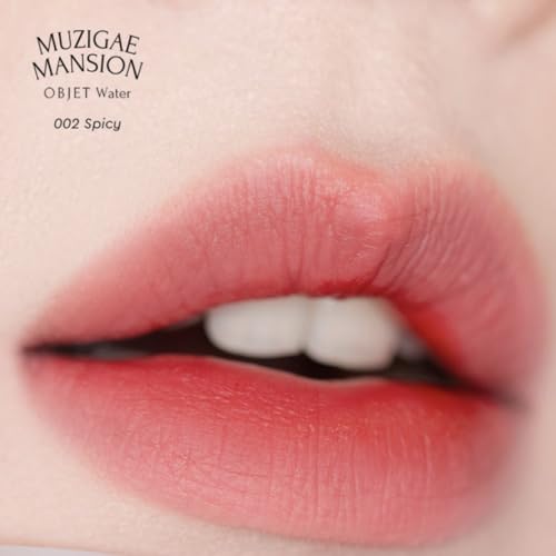 Objet Water Lip Stain Matte Lipstick – (Watery to Blurry Tint), Long-Lasting, Hydrating, Waterproof Wear – K-Beauty Liquid Lipstick for Women, Bold Red Tinted Gloss (002 SPICY)