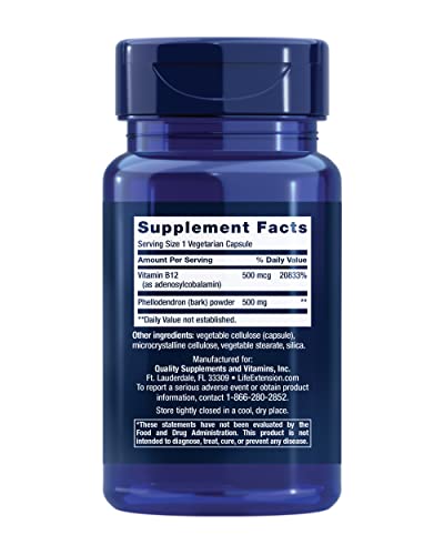 Life Extension Dopamine Advantage, Cognitive Health, Mental Sharpness, Motivation, Vitamin B12, phellodendron bark Powder, Gluten Free, Non-GMO, Vegetarian, 30 Capsules,(Pack of 2)