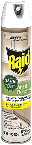 Raid Ant and Roach Killer Aerosol Spray with Essential Oils 11 Ounce (Pack of 1)
