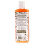 ÉMINENCE Eminence Organic Skincare Mangosteen Daily Resurfacing Cleanser, 4.2 Ounce