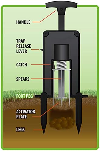 Victor M9015 Easy-to-Set Deadset Mole Trap and Killer