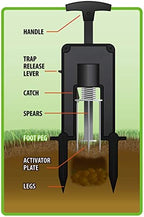 Victor M9015 Easy-to-Set Deadset Mole Trap and Killer