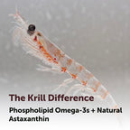 Micro Ingredients Antarctic Krill Oil Supplement, 1000mg Per Serving, 300 Soft-Gels, Rich in Omega-3s EPA, DHA & Natural Astaxanthin, Supports Immune System & Brain Health, Easy to Swallow