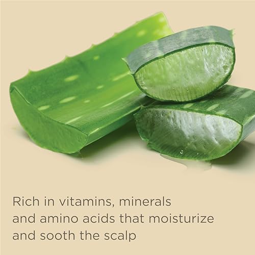 Hairitage Outta My Hair Gentle Daily Shampoo - Cleanses and Hydrates with Jojoba Oil - SOS Deep Moisture and Restore Conditioner for Thick Hair with Safflower Oil - 13 oz