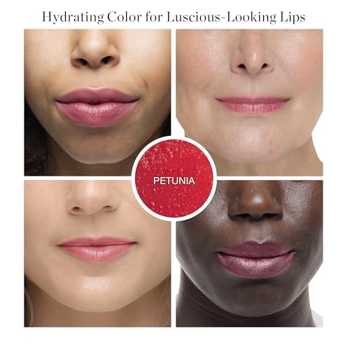 Ogee Tinted Sculpted Lip Oil - Lip Stain Made with 100% Organic Coconut Oil, Jojoba Oil, and Vitamin E - Best as Lip Balm, Lip Color or Lip Treatment - PETUNIA (Sheer Blush)
