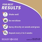 Bonide Captain Jack's Deadweed Brew, 128 oz Ready-to-Use with Attached Power Sprayer, Controls All Types of Weeds and Grasses, For Organic Gardening