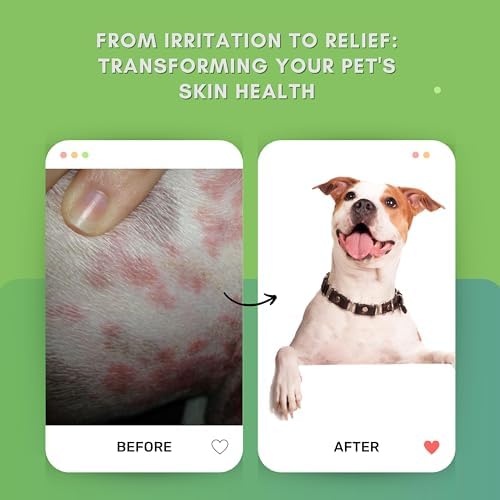 VoilaVe HOCL Spray for Dogs & Cats - Hypochlorous Acid Spray for Pets, Antiseptic Spray - Dog Wound Spray for Skin Irritation, Itch Relief, Infection, Allergy, Rashes - Safe for All Animals - 8 OZ