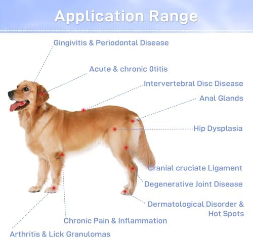 Cold Laser Therapy Device for Dogs - Pet Laser Therapy with Dual Wavelength(808nm+650nm, Red Light Therapy for Dogs for Pain Relief Arthritis, Spinal, Promote Blood Circulation