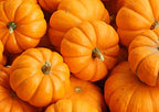 Food to Live Organic Dry Roasted Pumpkin Seed Kernels, 16 Pounds - Non-GMO, Unsalted, Oven Roasted Whole Pepitas, No Oil Added, Shelled, Vegan, Kosher, Keto, Bulk. Low in Carbs. High In Protein.