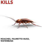 Raid Double Control Small Roach Baits Plus Egg Stopper 0.63 Ounce (Pack of 1)