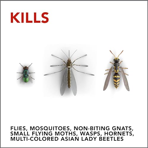 Raid Wasp and Hornet Killer (Pack - 10)