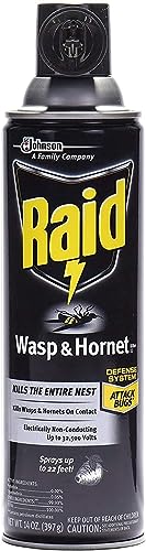 Raid Wasp Hornet Killer Spray (14 Ounce (Pack of 8))