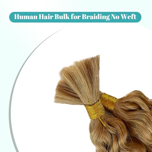 Human Braiding Hair for Boho Braids Human Hair Braiding Hair 100g 24 Inch Curly Boho Hair for Braiding Knotless Water Wave Bulk Human Hair for Braiding 2 Bundles/Pack Honey Blonde Human Hair Bulk